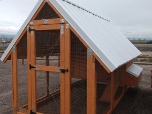 Chicken House - 2662