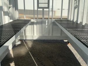 Greenhouse - 3258 - Image 3