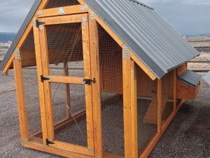 Chicken House - 2561