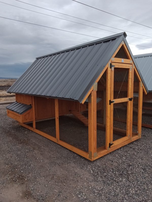 Chicken House - 2561